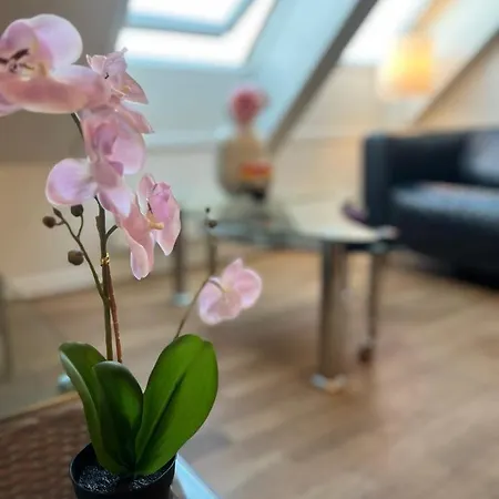 Harmony - By Honivi Gruppen