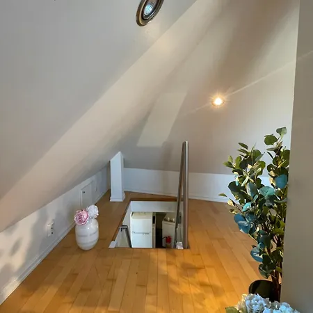 Harmony - By Honivi Gruppen *