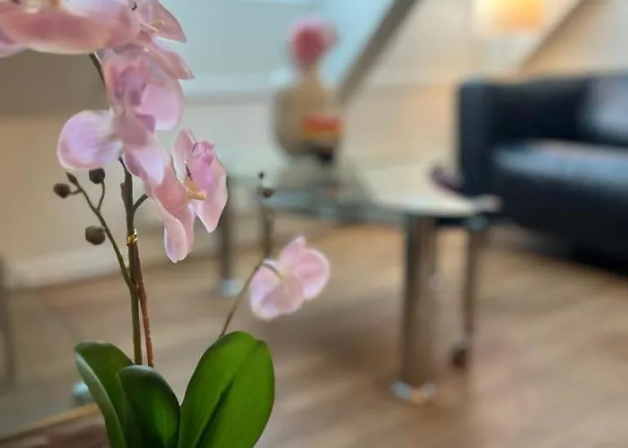 Harmony - By Honivi Gruppen